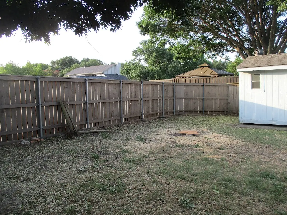 Cleared yard after professional tree removal in Old Orchard Beach